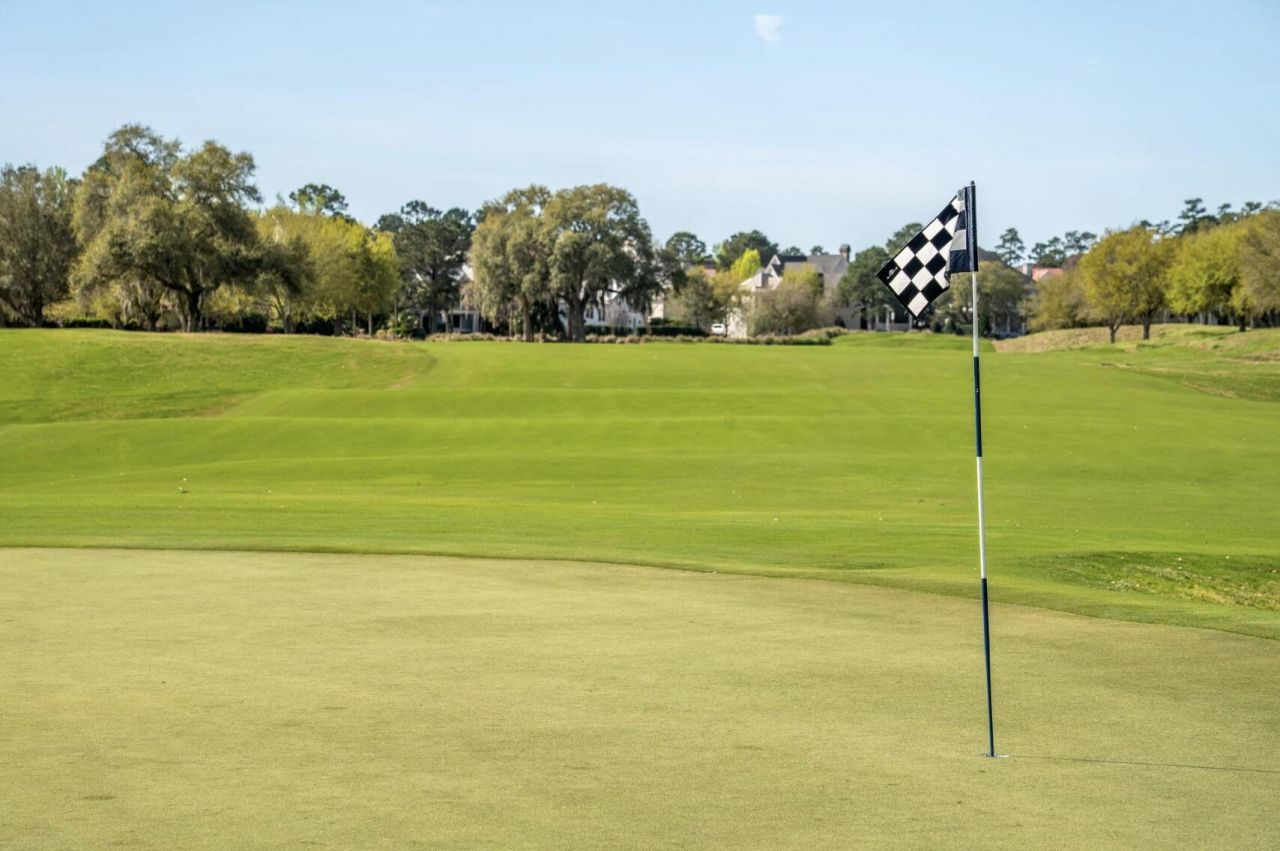 401 Creek Landing Street Photo 7