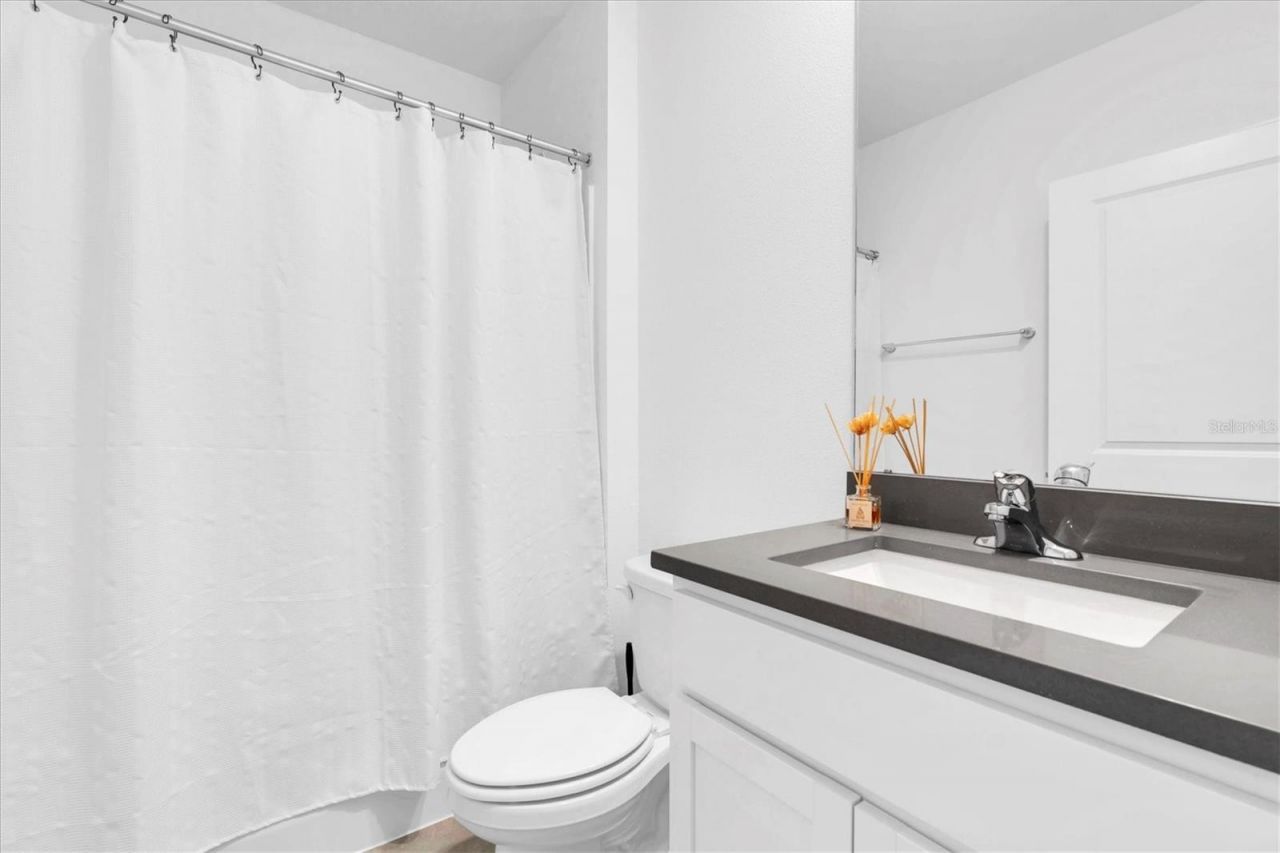 5943 Wandering Willow Drive, Wesley Chapel, FL 33545 Photo
