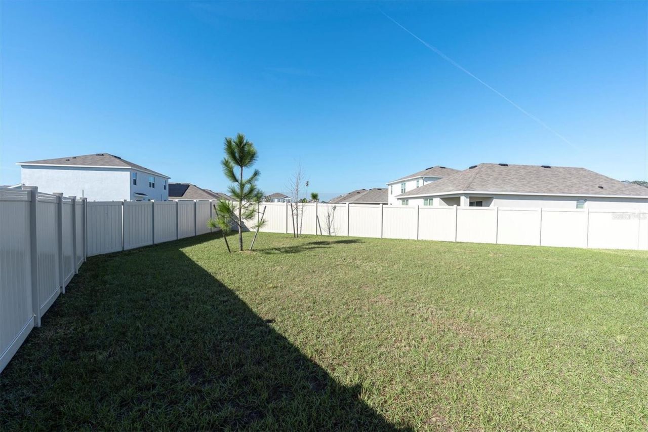 5943 Wandering Willow Drive, Wesley Chapel, FL 33545 Photo