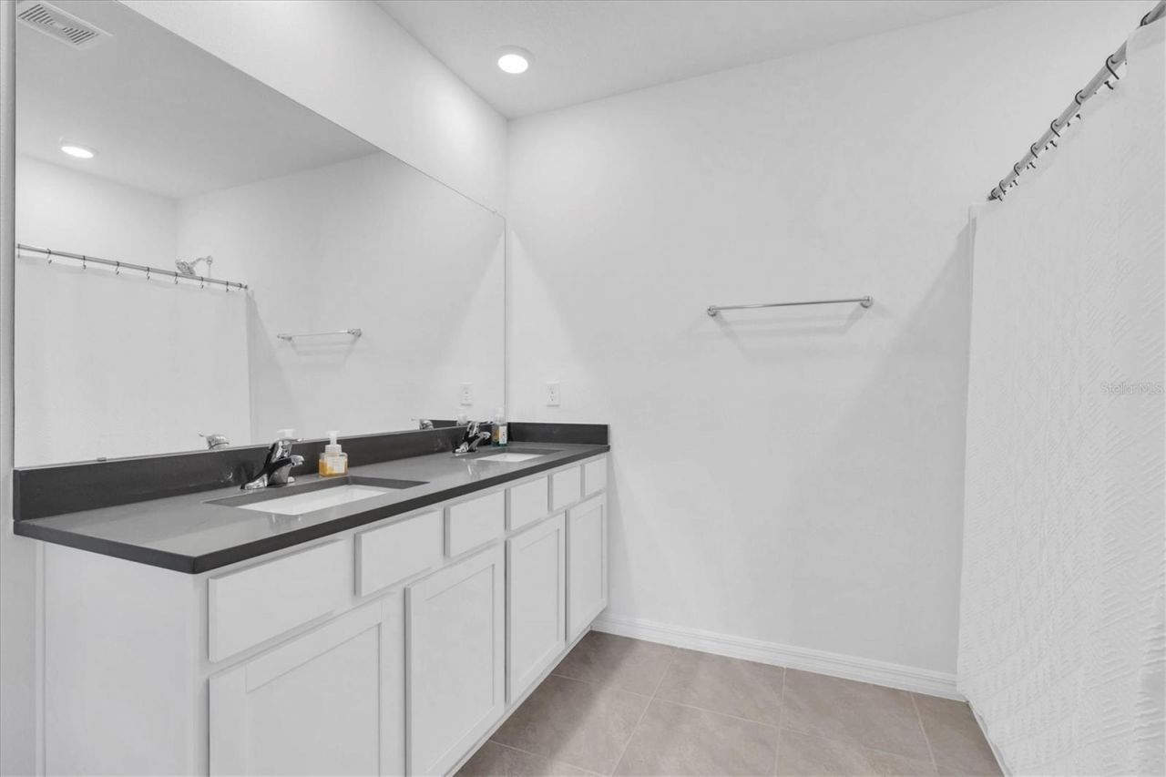 5943 Wandering Willow Drive, Wesley Chapel, FL 33545 Photo