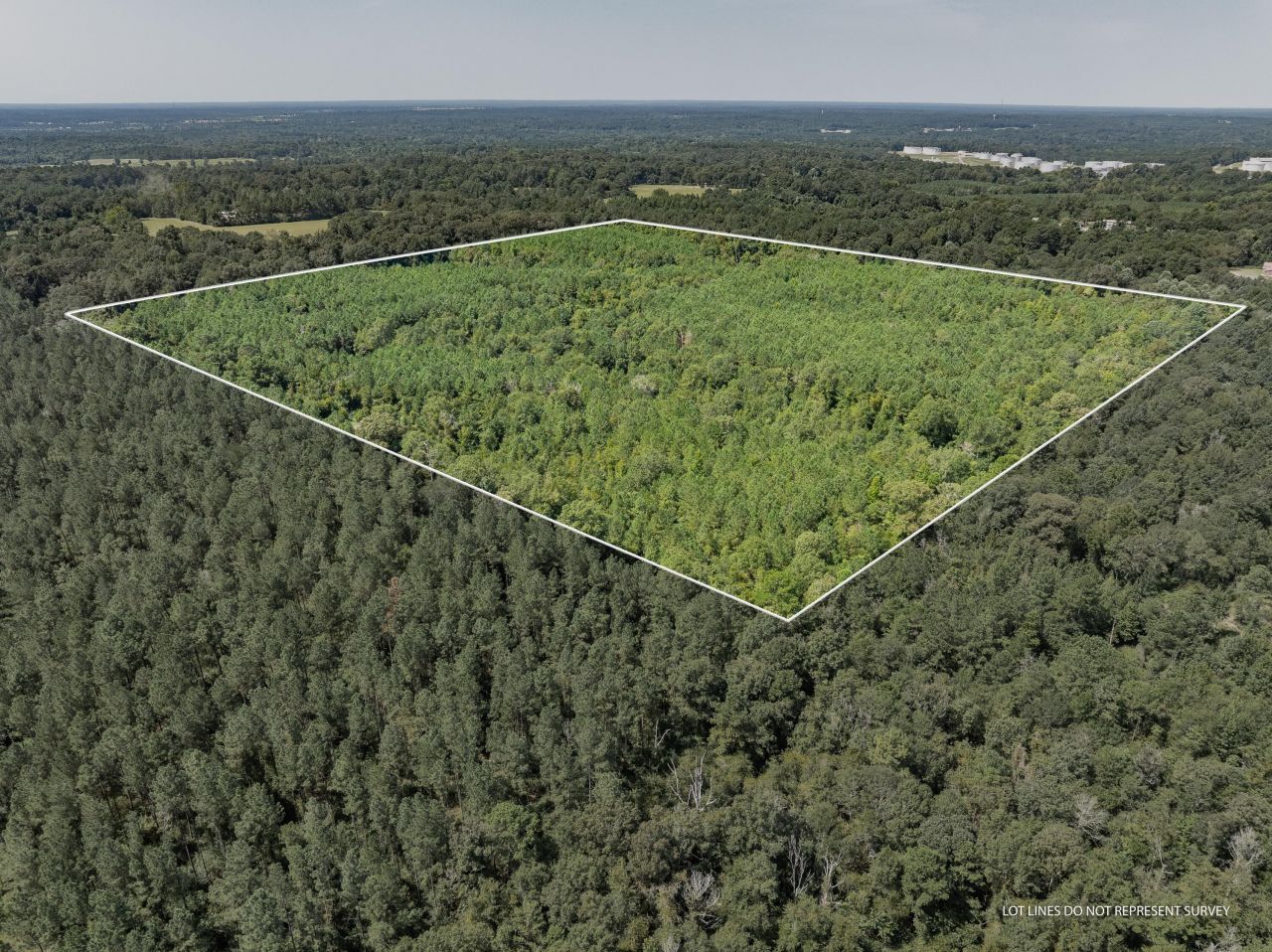 40 Acres Hwy 588, Collins, MS 39428 Main Photo