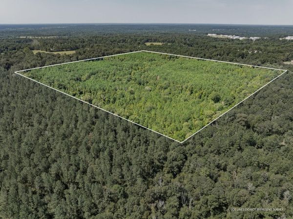 40 Acres Hwy 588, Collins, MS 39428