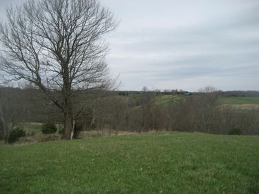 0000 N North Rays Fork Road, Sadieville, KY 40370