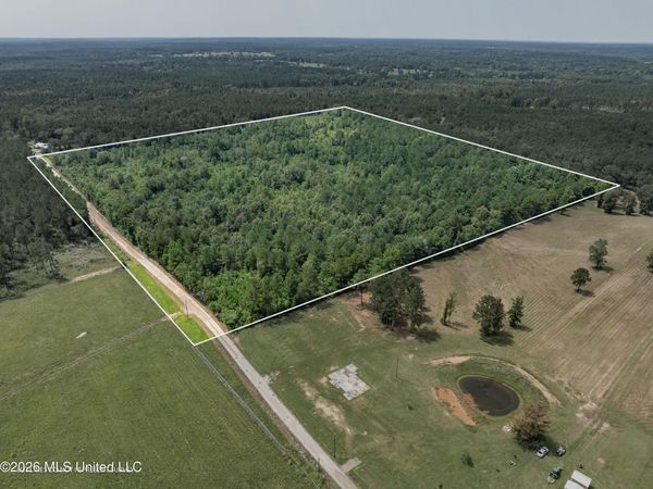 40 Acres Son'S Lane, Mount Olive, MS 39119
