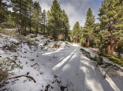 20102 Hibbet Trail, Reno, NV 89511 Photo