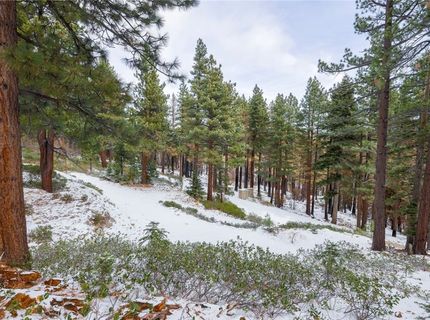 20102 Hibbet Trail, Reno, NV 89511 Photo