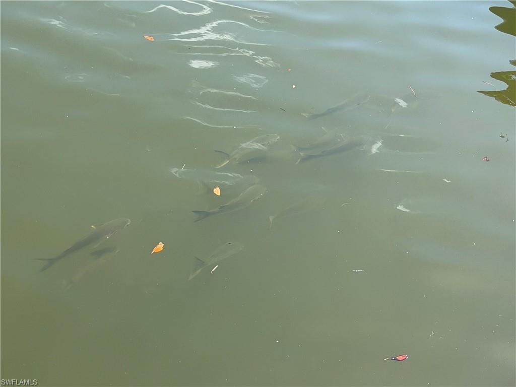 4754 Spring Creek Dr , Bonita Springs, FL 34134 Photo