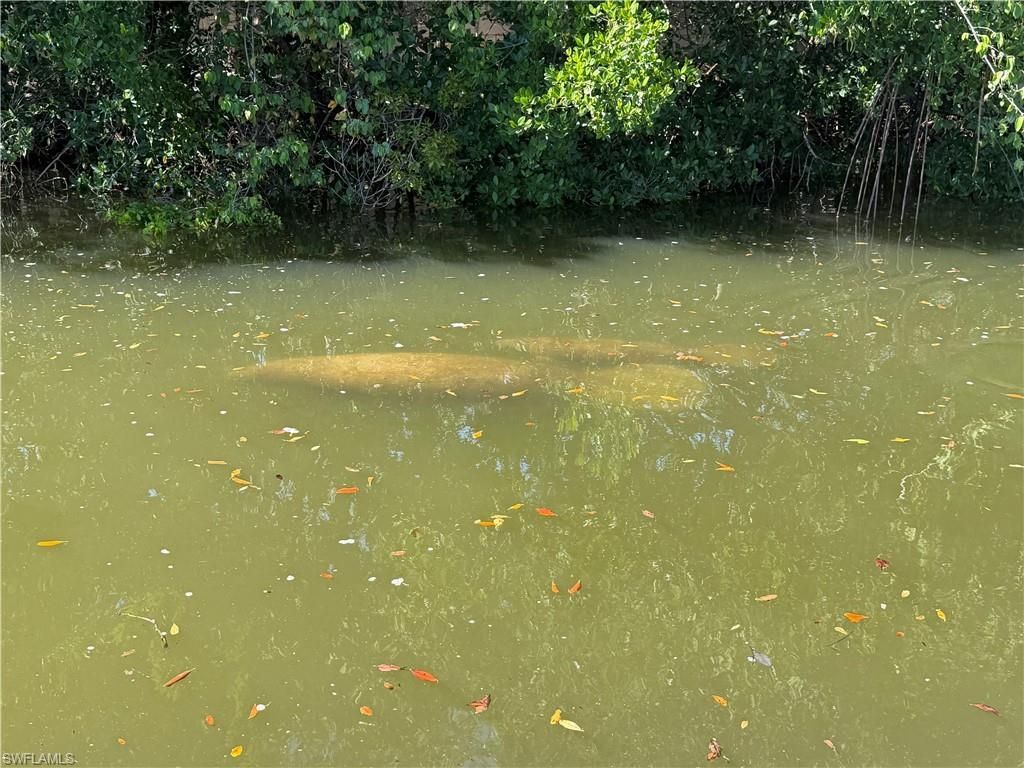 4754 Spring Creek Dr , Bonita Springs, FL 34134 Photo