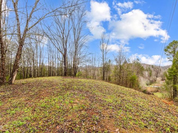 Tract 2 Dripping Springs Road, Seymour, TN 37865
