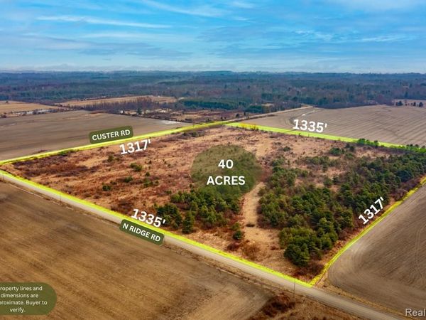 Vacant Land Custer Road, Sandusky, MI 48419
