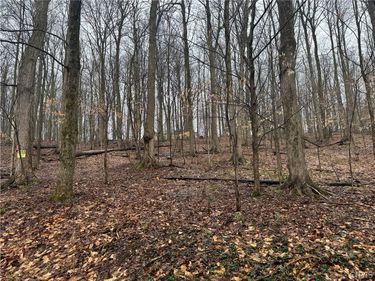 Nob Road, Utica, NY 13501