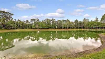 8128 Villa Grande Court, Sarasota, FL 34243 Photo