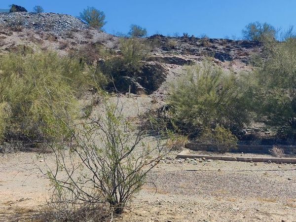 11615 N 16TH Place N, Unit 16 & 21, Phoenix, AZ 85020