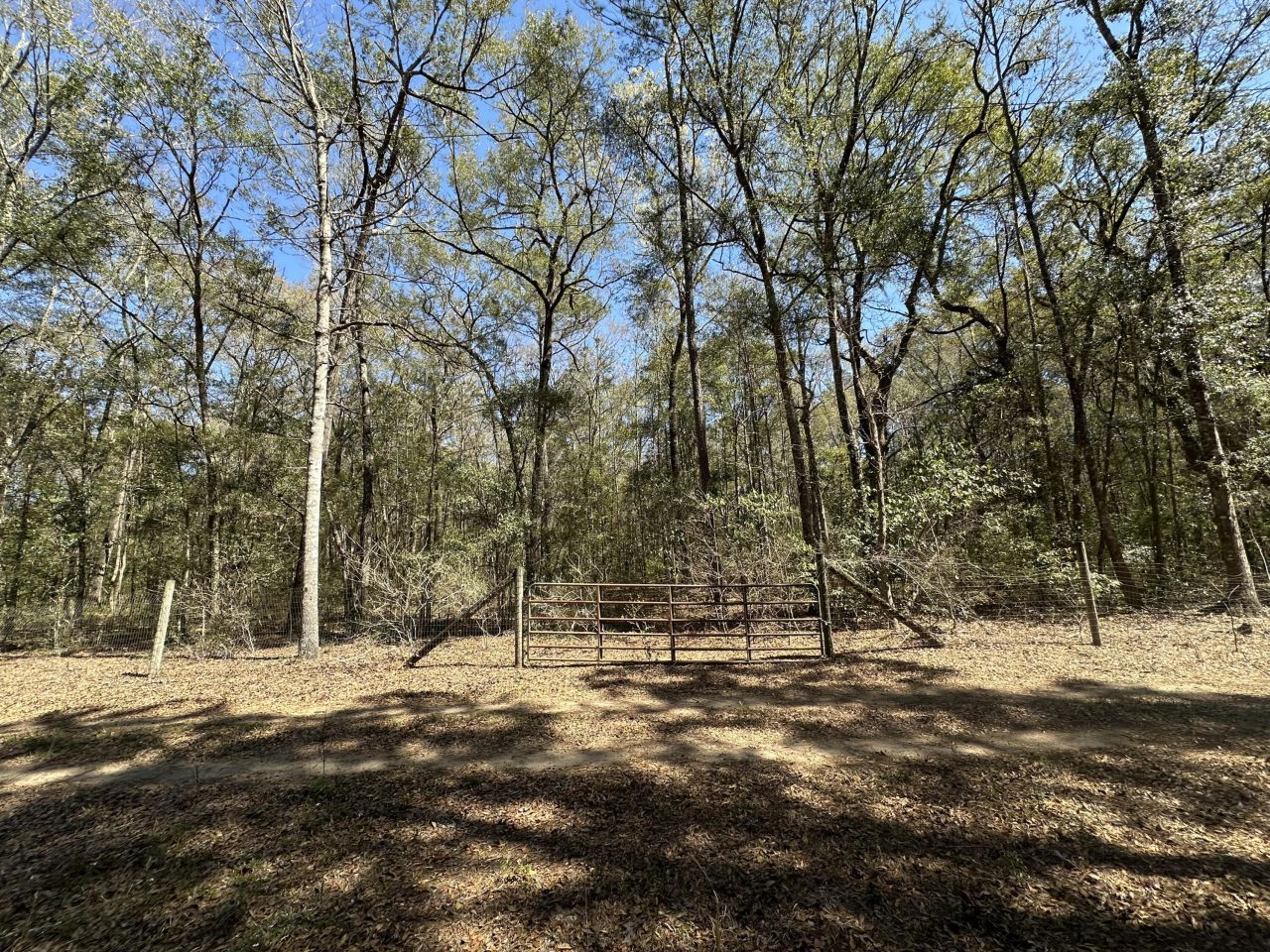 5194 Kuzia Road Photo 1