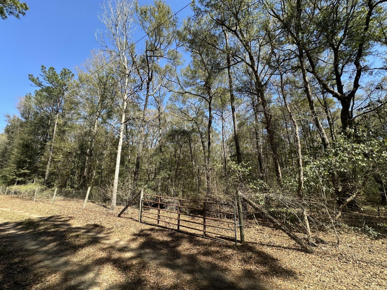 5194 Kuzia Road Photo 2