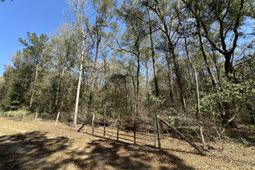 5194 Kuzia Road photo 4