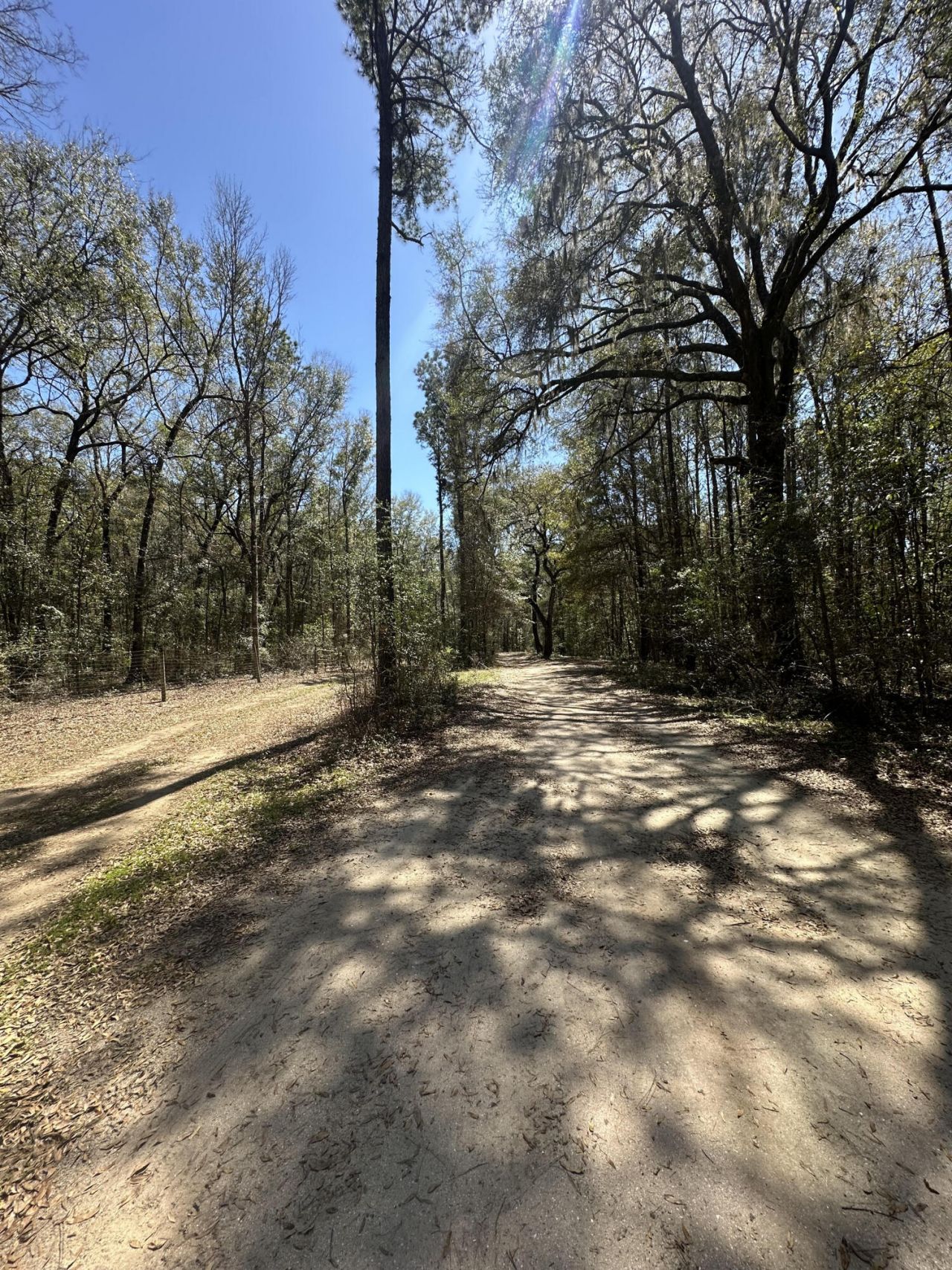 5194 Kuzia Road Photo 4