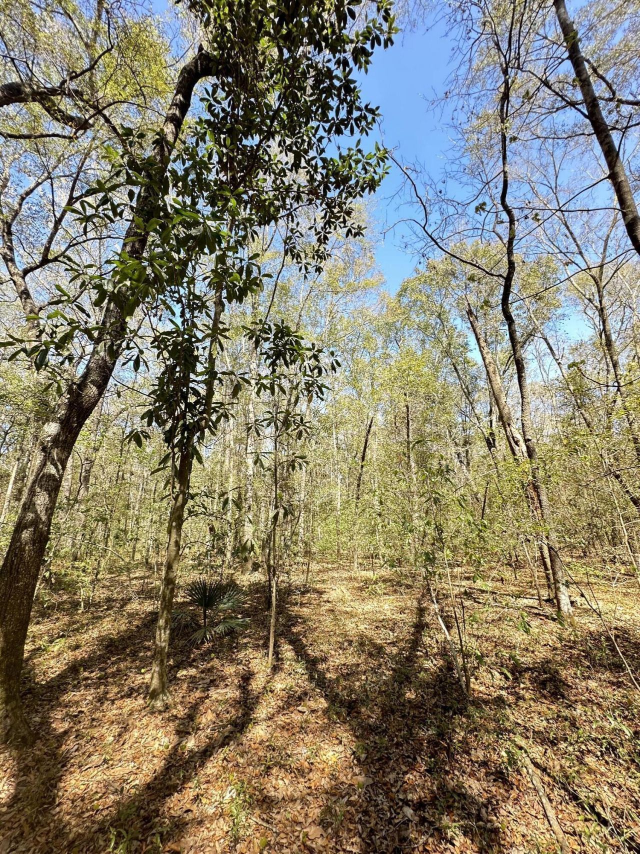 5194 Kuzia Road Photo 5