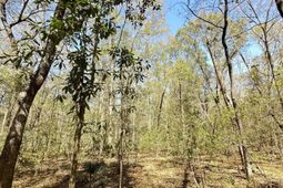 5194 Kuzia Road photo 4