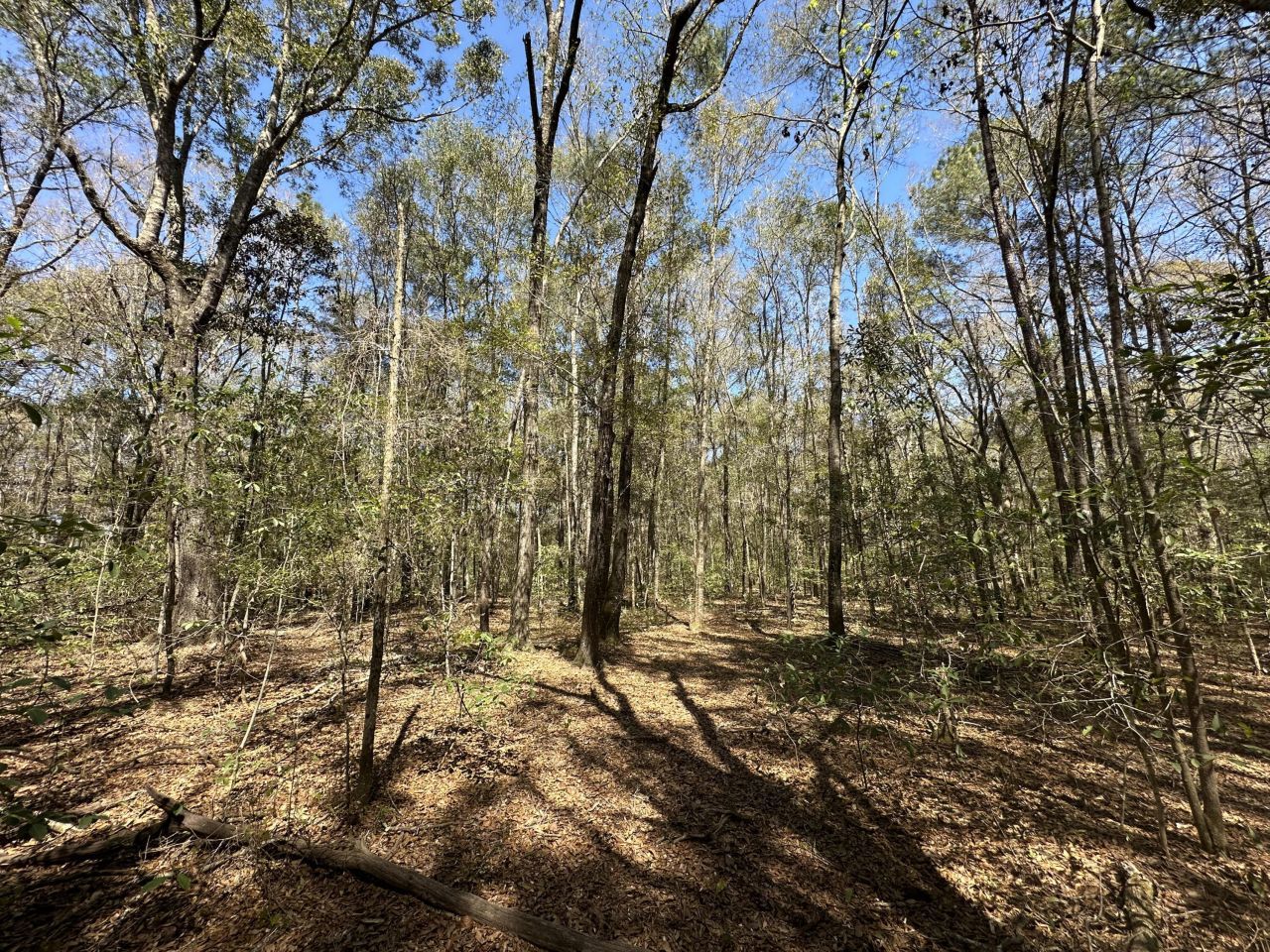 5194 Kuzia Road Photo 6