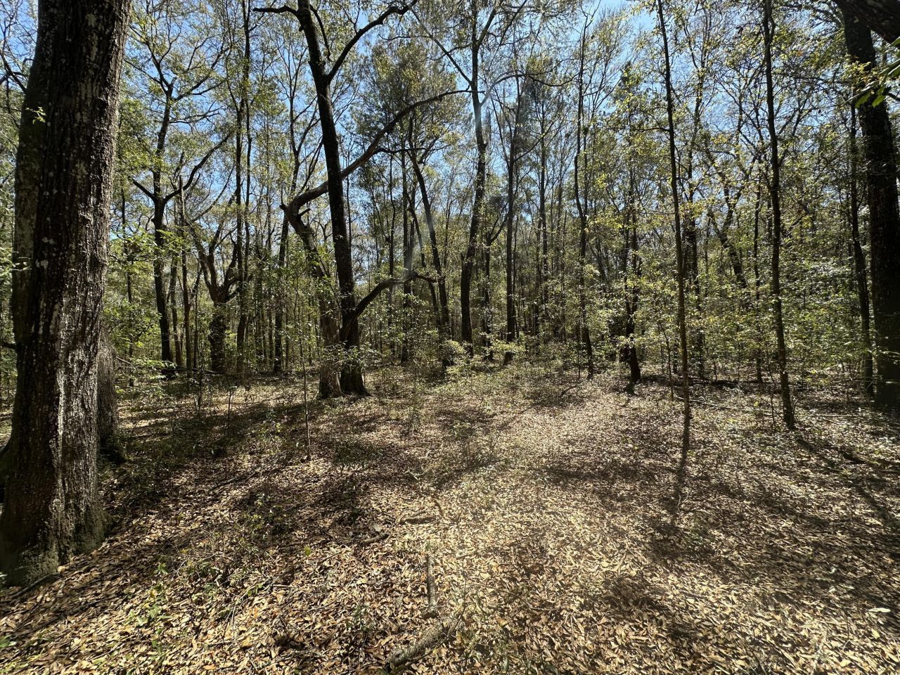 5194 Kuzia Road Photo 7