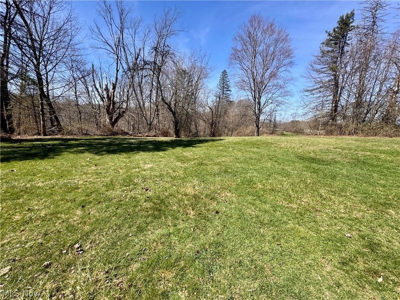 11685 Mills Road, Garrettsville, OH 44231 Photo 3