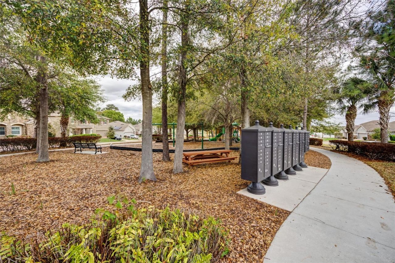 1734 Black Maple Place , Ocoee, FL 34761 Photo