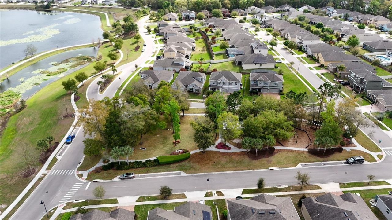 1734 Black Maple Place , Ocoee, FL 34761 Photo