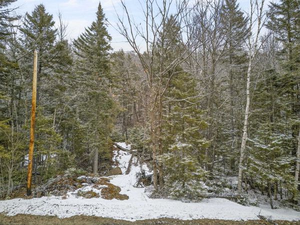 M10 L50 Ashuelot Drive, Washington, NH 03280