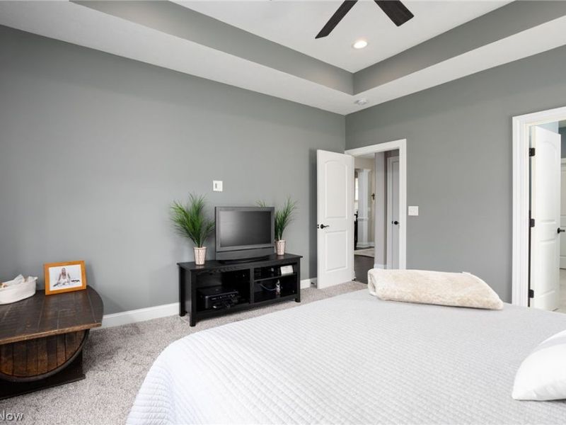 3984 Argyle Lane, Medina, OH 44256 Photo 20