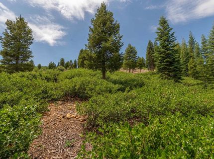 15644 Skislope Way, Truckee, CA 96161 Photo