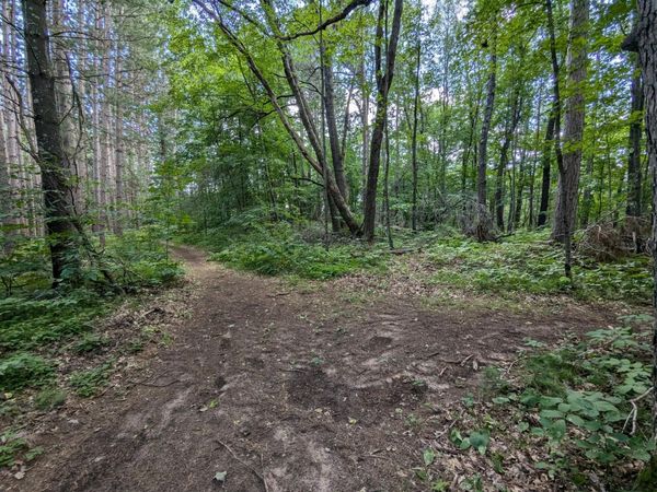 Lot 2 Fosmo , Webster, WI 54893