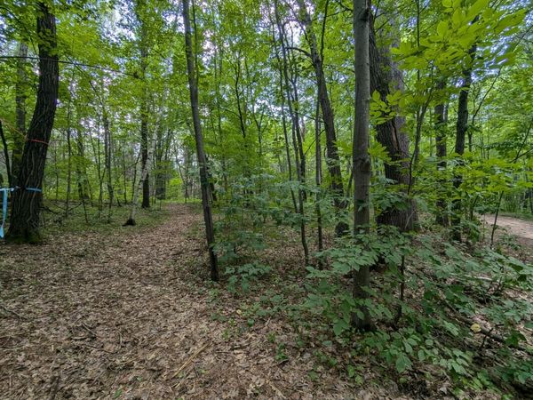 Lot 4 Fosmo , Webster, WI 54893