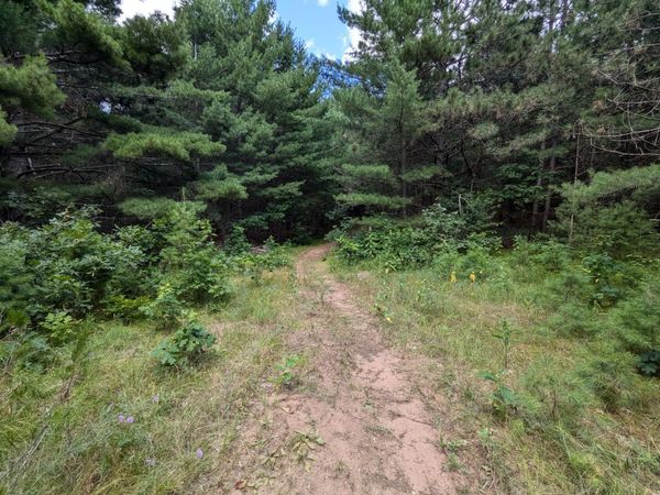 Lot 5 Fosmo , Webster, WI 54893