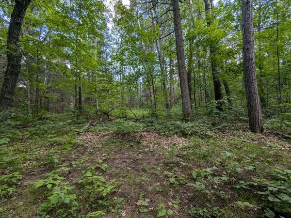 Lot 3 Fosmo , Webster, WI 54893