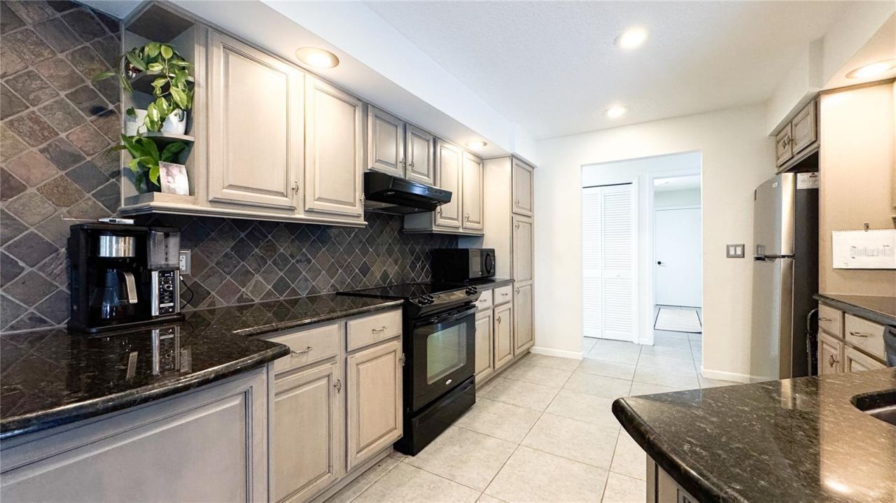 1480 Chukar Ridge, Palm Harbor, FL 34683 Photo