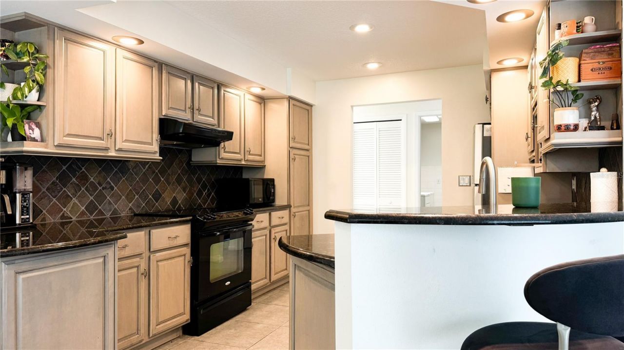 1480 Chukar Ridge, Palm Harbor, FL 34683 Photo