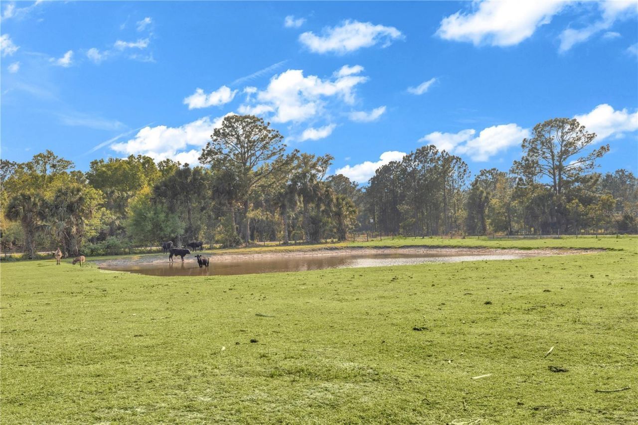 171 River Oaks Drive , Osteen, FL 32764 Photo