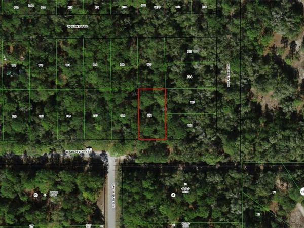2797 W GRAPEVINE COURT, DUNNELLON, FL 34433