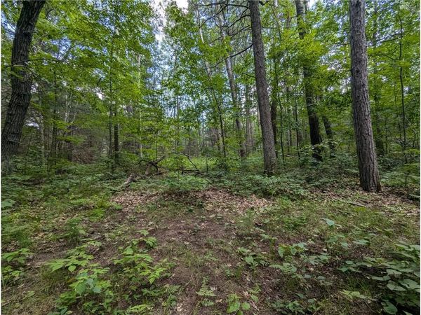 Lot 3 Fosmo, Webster, WI 54893