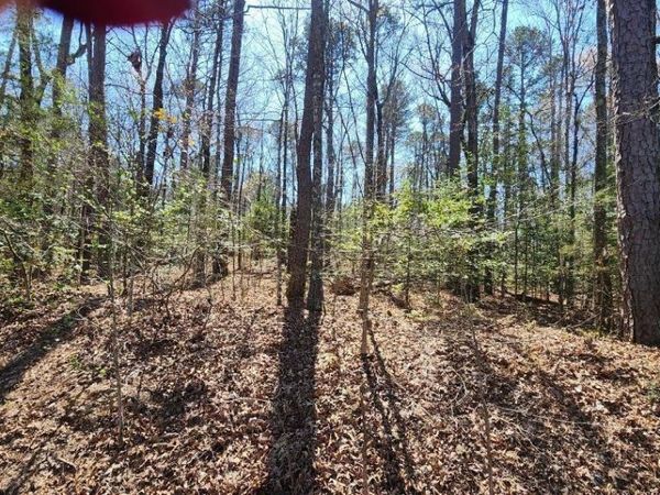 000 ZARPA Way, Hot Springs Village, AR 71909