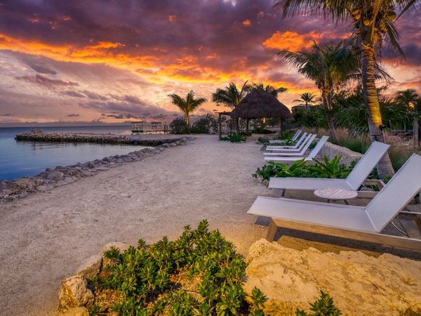 82779 Old Highway, Unit 8, ISLAMORADA, FL 33036