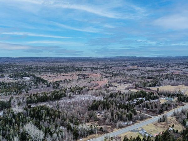 0 Lively Brook Road, Whiting, ME 04691