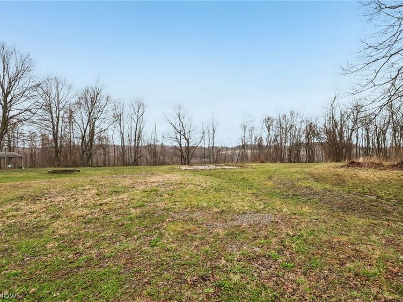 48945 State Route 154, Rogers, OH 44455 Photo 28