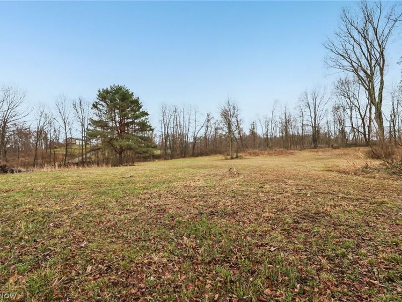 48945 State Route 154, Rogers, OH 44455 Photo 29