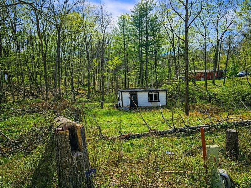 10155 Shaw Road, Glouster, OH 45732 Photo 2