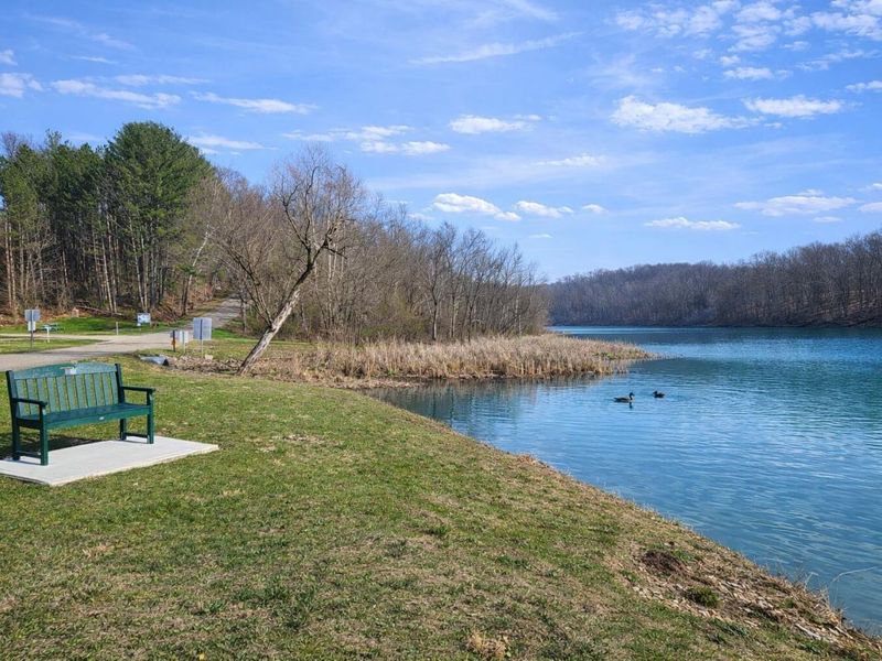 10155 Shaw Road, Glouster, OH 45732 Photo 4