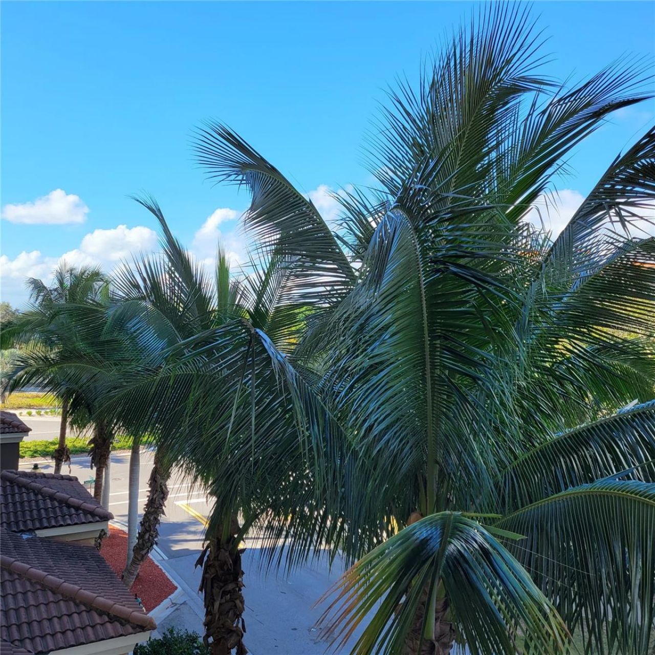 1064 N Tamiami Trail , Unit 1325, Sarasota, FL 34236 Photo