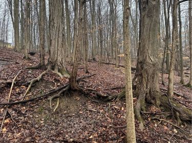 4 Nob Road, Utica, NY 13501