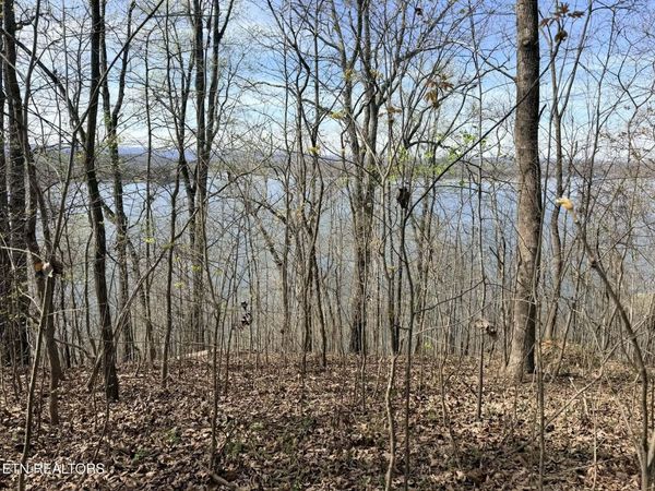 lot 7 Johnson Lane , Ten Mile, TN 37880